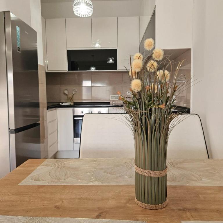 Stan na dan, Centar, Banja Luka - Apartman sa 1 Spavaćom Sobom - 6