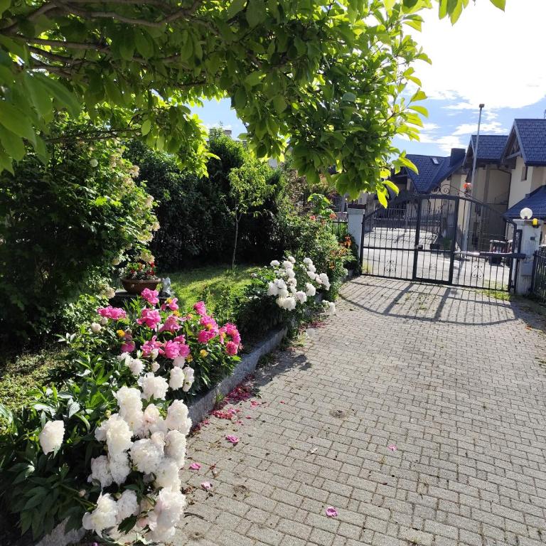 VILLA ADRY Aosta Sarre Your freedom - Villa - 56