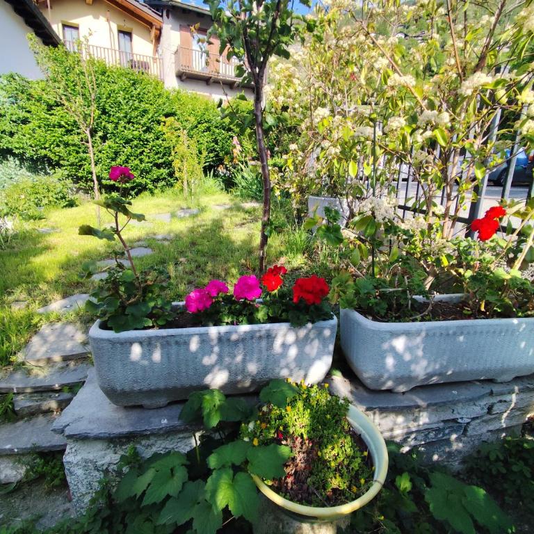 VILLA ADRY Aosta Sarre Your freedom - Villa - 60