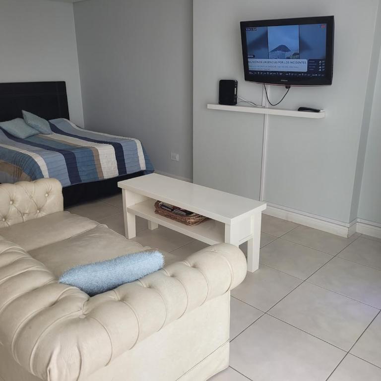 Mar del Plata centro depto tipo loft bien equipado - Apartamento de 1 dormitorio - 15