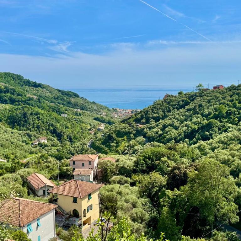 Foglie d'Argento - Casa Vacanze - 2