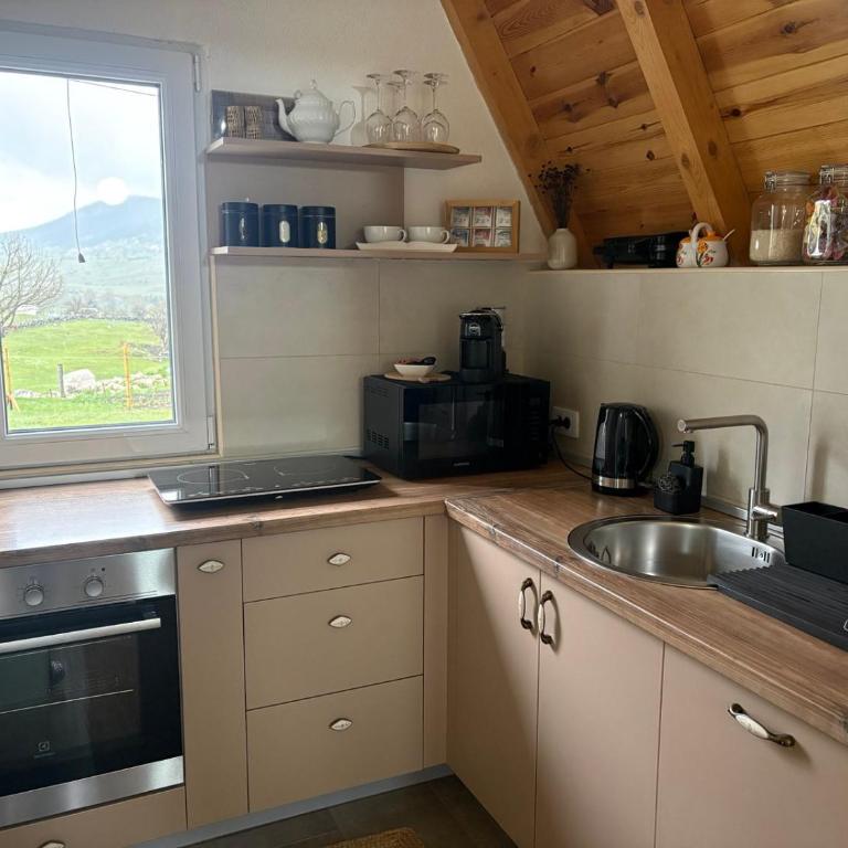 Melanija - Two-Bedroom House - 7