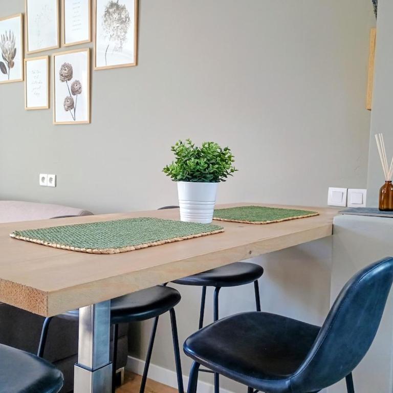 A l'ombre de l'Olivier Spacieux Clim Parking Cosy - Appartement 1 Chambre - 31