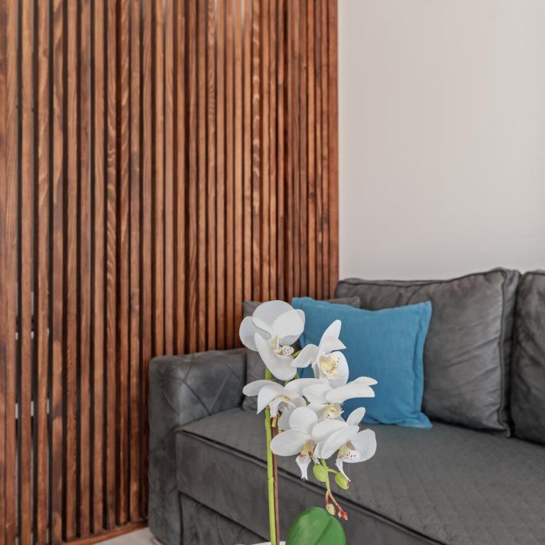 Apartments Boka Pearl - Apartment - 12