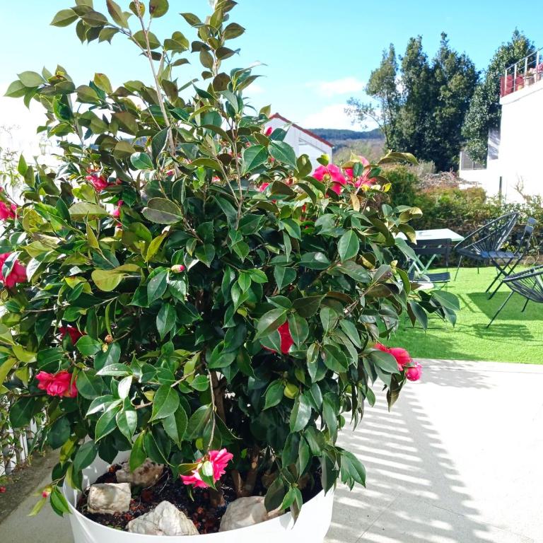LAR JARDÍN - Casas independientes con parking privado - Casa de 2 dormitorios - 22