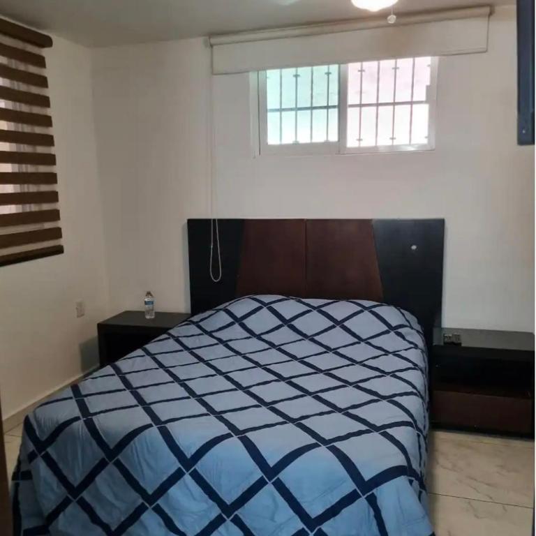 Coliman 3 - One-Bedroom Apartment - 3