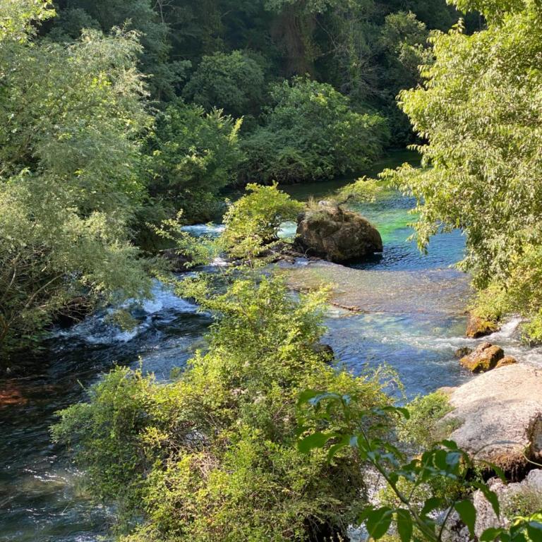 Mas pied des Alpilles 5 min centre piscine privée 9 pers - Maison 5 Chambres - 24