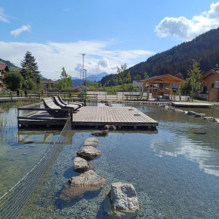 Haus Wagner- Wildschönau Premium Card inclusive - Apartment mit Terrasse - 10