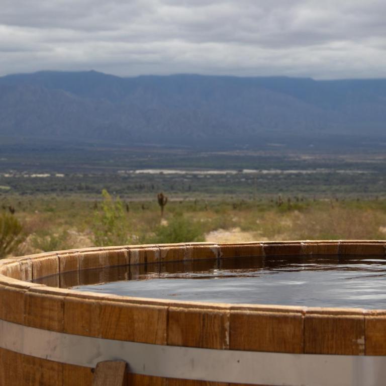 Glamping Astrapia - Cafayate - Deluxe Room - 12