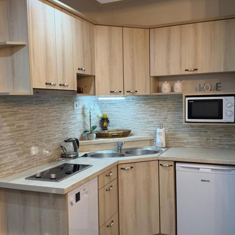 Grand Apartments Scepanovic - One-Bedroom Apartment with Terrace and Garden View - 13