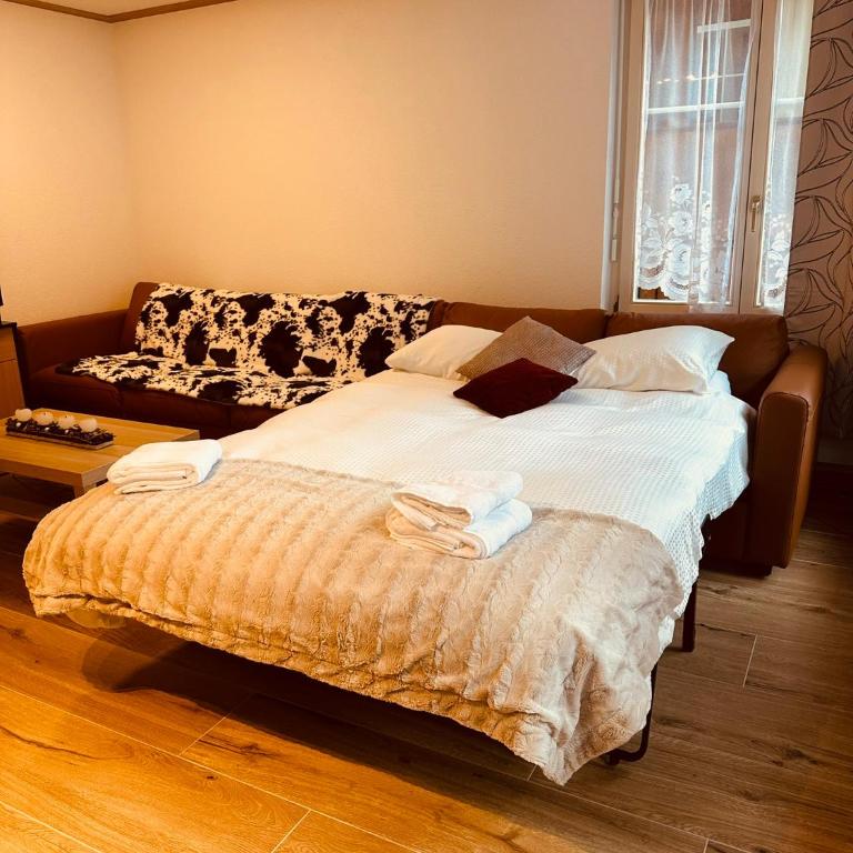 Lauterbrunnen Beautiful Staubbach apartment in a charming Chalet - Apartment mit 2 Schlafzimmern - 32