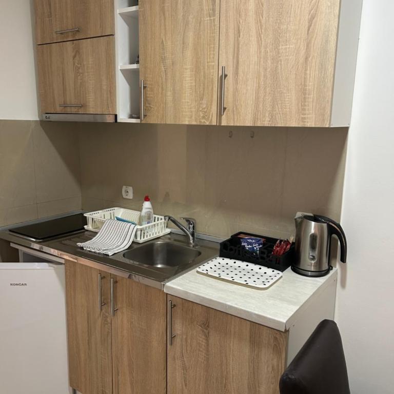 SAN apartmani -U centru - Porodični Studio - 7