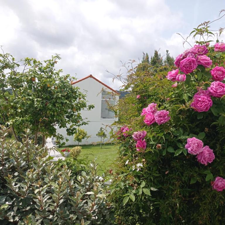 LAR JARDÍN - Casas independientes con parking privado - Casa de 2 dormitorios - 19