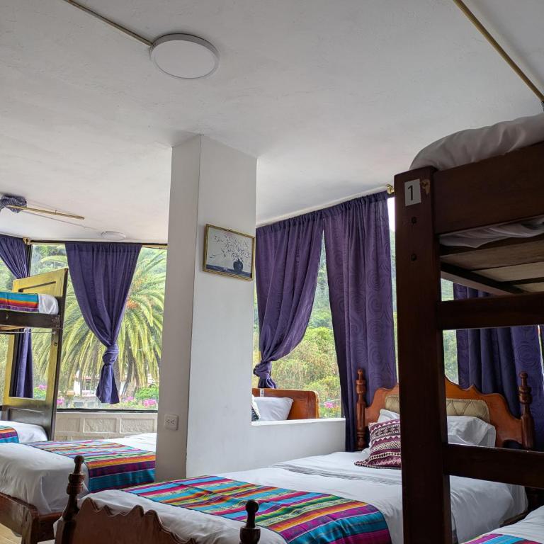 Crater Eruption Backpacker Hostel - Bed in 6-Bed Mixed Dormitory Room - 4