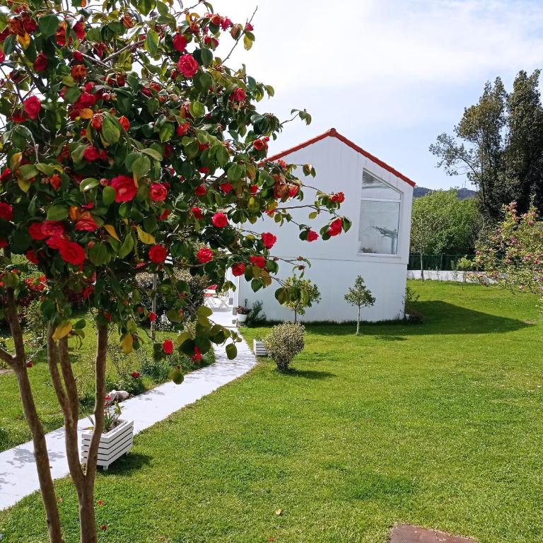 LAR JARDÍN - Casas independientes con parking privado - Casa de 2 dormitorios - 7