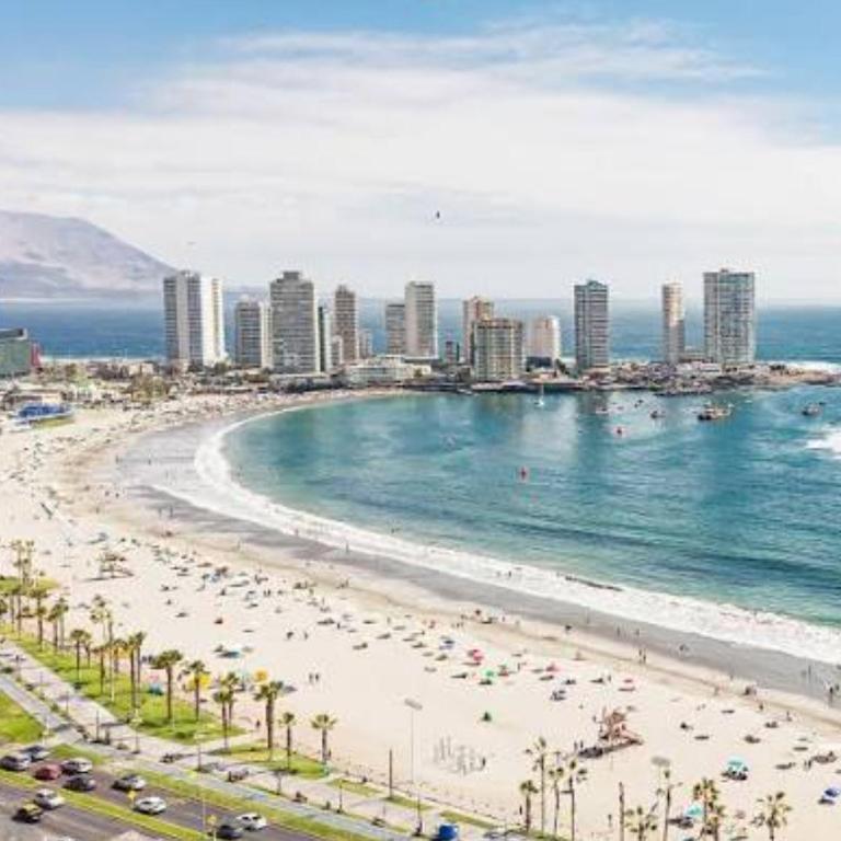 Pacifico dpto frente al mar en peninsula Cavancha - One-Bedroom Apartment - 10