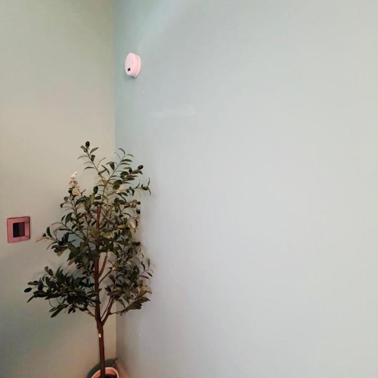 Nuevo loft equipado en Monterrey- Richars loft - One-Bedroom Apartment - 23