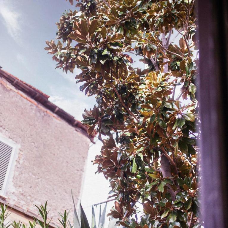 TrastevereHome - Colorful and Relaxing Apartment in Trastevere - Appartamento con 2 Camere da Letto - 11