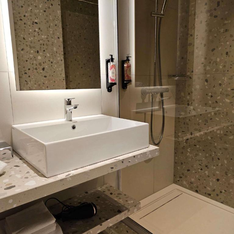 Aparthotel Adagio Genève Mont-Blanc - Chambre Standard avec Un Lit Double & Un Canapé-Lit - 4