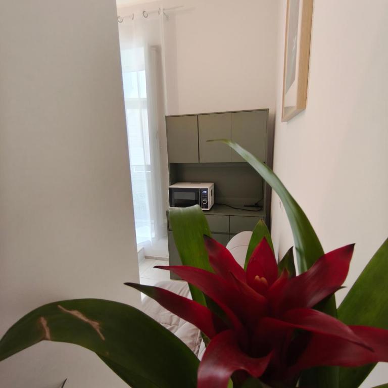 Da Agata - Studio Apartment - 16