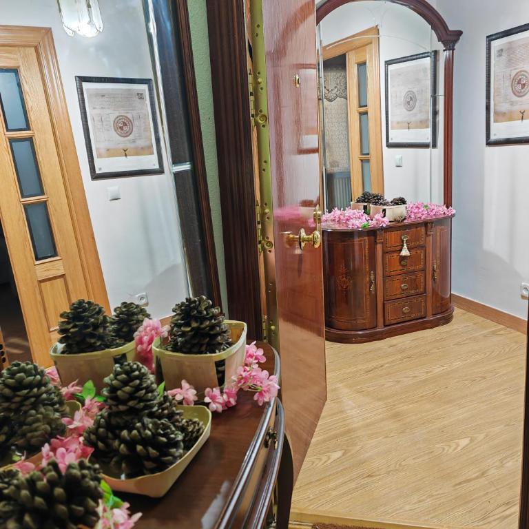 VIRGEN de ALFILERITOS - Apartamento de 3 dormitorios - 5