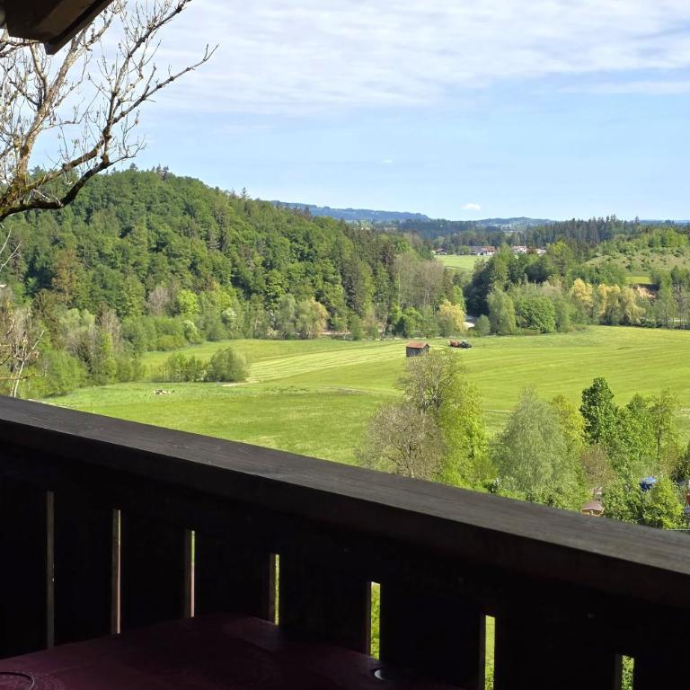 Landhaus Jörg - Giebelwohnung Gipfelstürmer mit Balkon, naturnahe Lage, Hunde willkommen - Two-Bedroom Apartment - 32