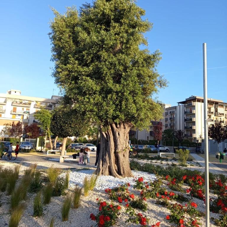 Riflessi nosTrani - Seaside Rooms - One-Bedroom Apartment - 47