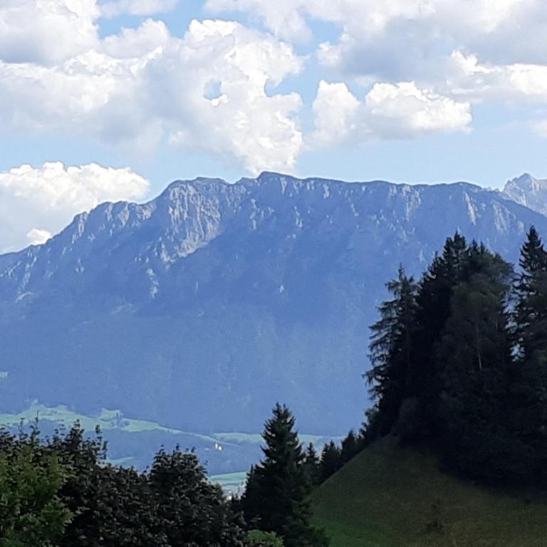 Fewo Alpenpanorama mit Hallenbad - Superior Apartment mit Sauna - 28