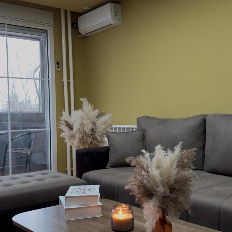 Luksar Apartment Niš - One-Bedroom Apartment - 2