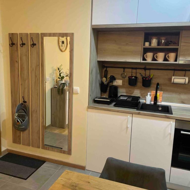 Forest 21 Zlatibor - One-Bedroom Apartment - 3