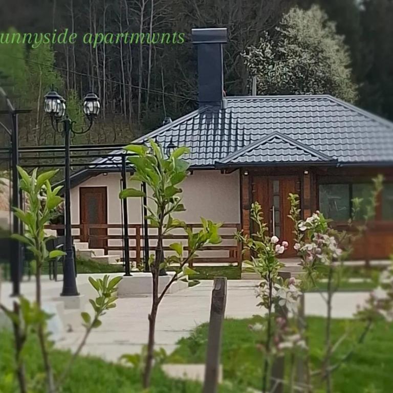 Sunnyside apartments, Pale, Ravna Planina, 4 kuce, 16 osoba - One-Bedroom House - 2
