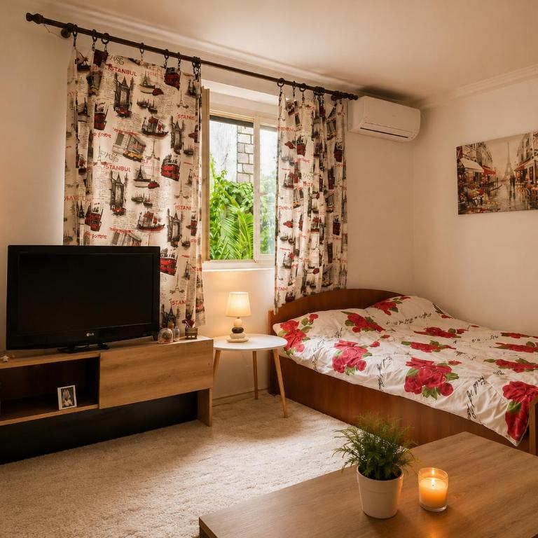 Apartman Mediteran - Apartman sa 1 Spavaćom Sobom - 3