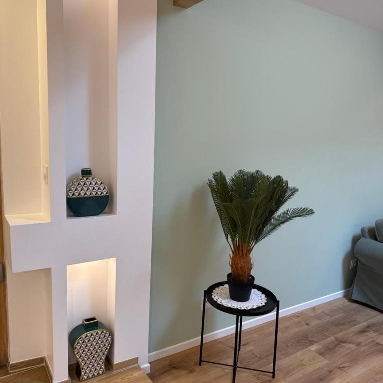 Magnifique - Appartement 1 Chambre - 6