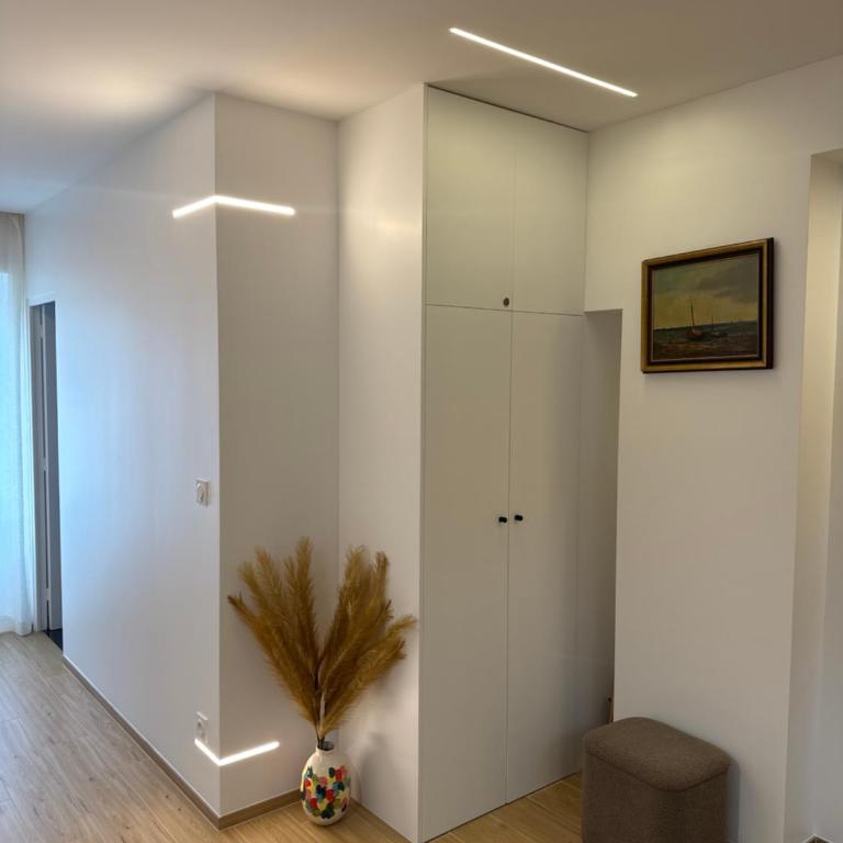 Magnifique - Appartement 1 Chambre - 5