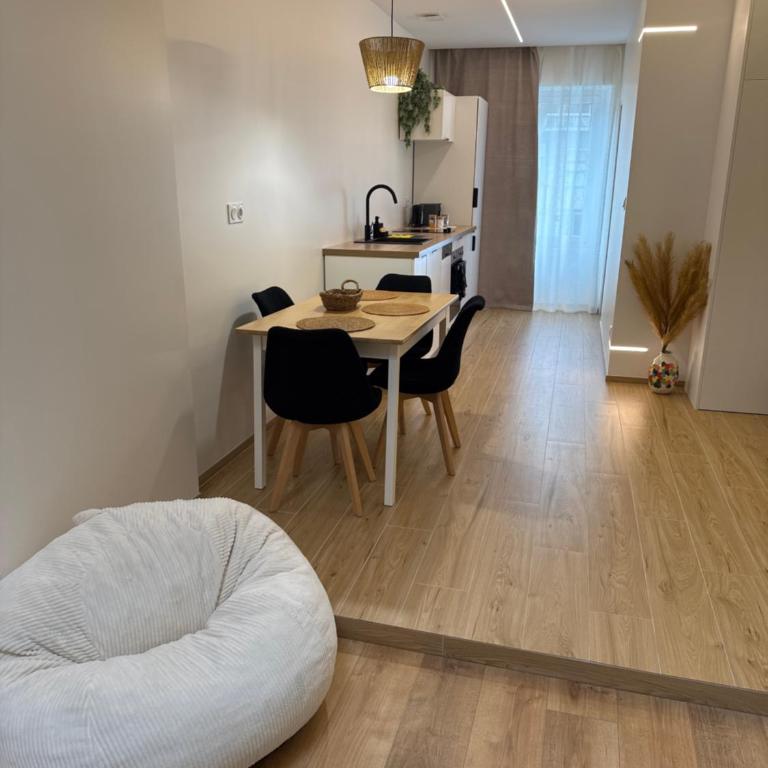 Magnifique - Appartement 1 Chambre - 3
