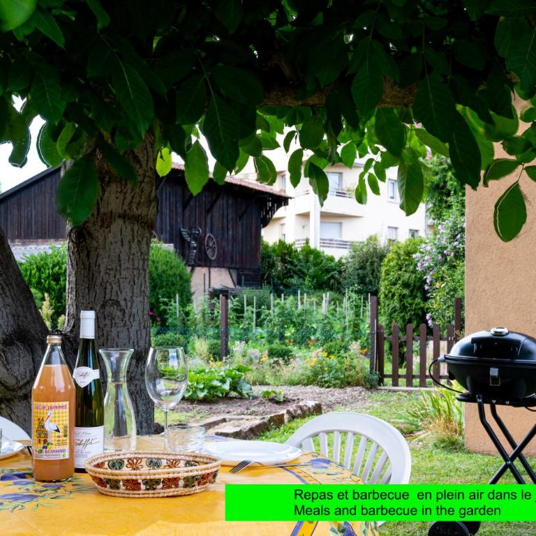 La Maison de Vacances de Colmar et son jardin - Casa con 3 Camere da Letto - 9