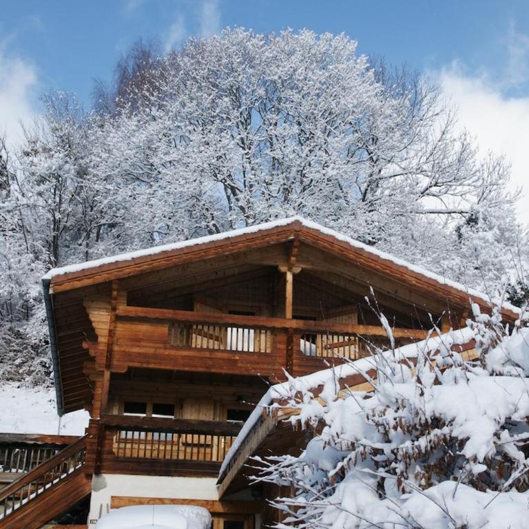 Magnifique chalet , 10 personnes, vue panoramique, bain nordique - Chalet - 17