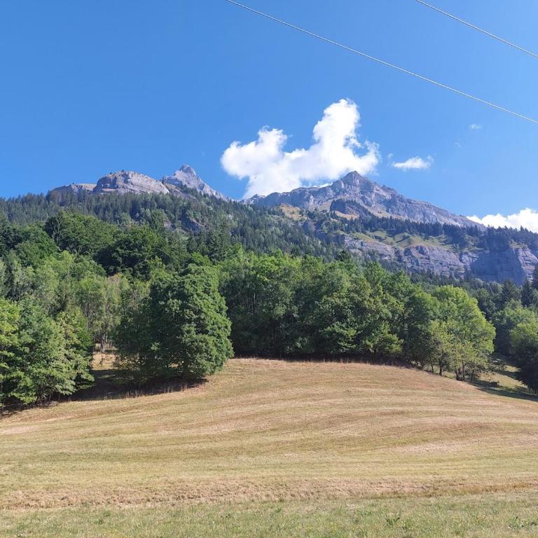 Magnifique chalet , 10 personnes, vue panoramique, bain nordique - Chalet - 45