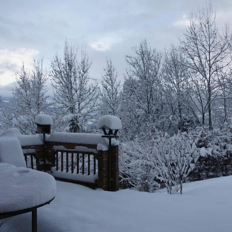 Magnifique chalet , 10 personnes, vue panoramique, bain nordique - Chalet - 68