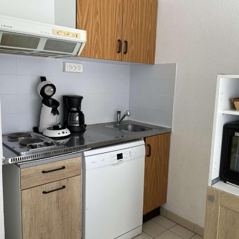 Appt 2 pièces cabine climatisé LE GRAU DU ROI GR400-008 - One-Bedroom Apartment - 4