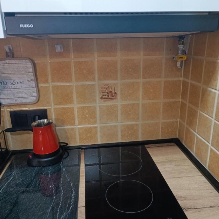 Apartment ElSA - Apartman sa 1 Spavaćom Sobom - 24
