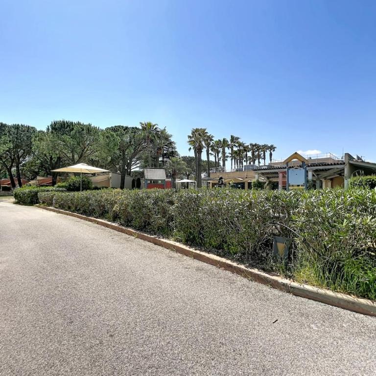 Mandelieu-la-Napoule Studio - Apartment with Garden View - 6