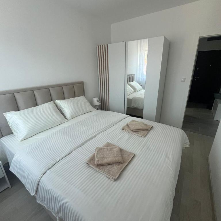 Apartmani Milinković - Apartman sa 1 Spavaćom Sobom - 8
