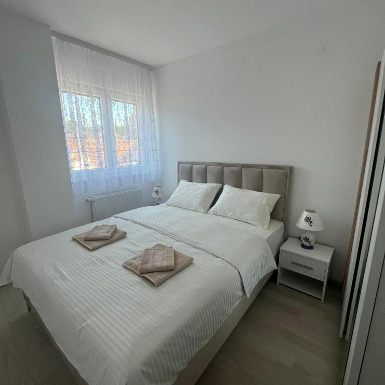 Apartmani Milinković - Apartman sa 1 Spavaćom Sobom - 9