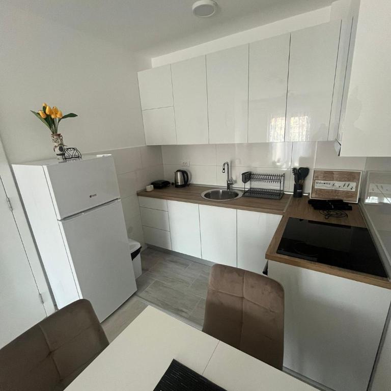 Apartmani Milinković - Apartman sa 1 Spavaćom Sobom - 5