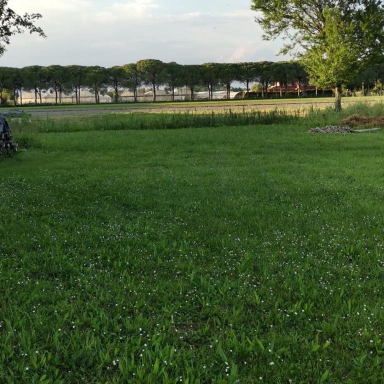 Villa d'Istria apartment- riserva naturale foce Tagliamento - Appartamento con 1 Camera da Letto - 9