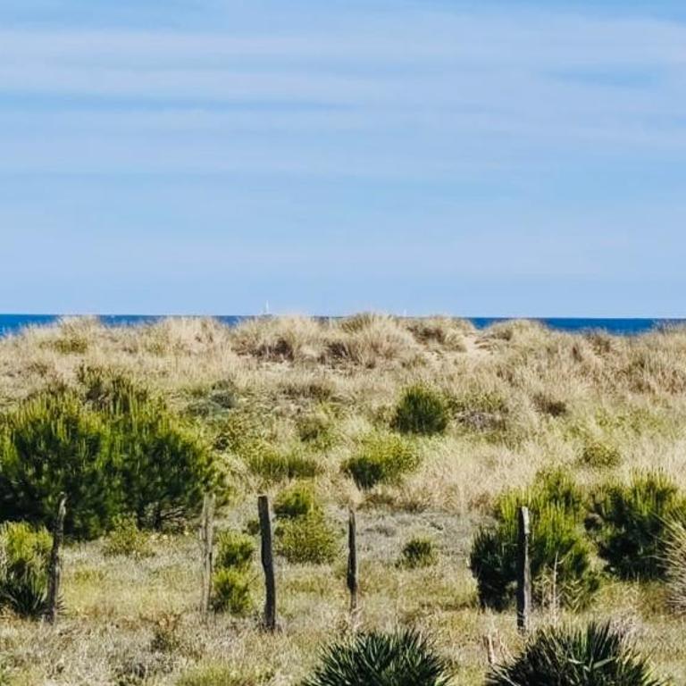 Mon Petit Paradis, vue sur dunes et mer, accès direct plage Robinson, WIFI, terrasse, parking privé, très ressourçant, à Marseillan Plage - Appartement - Vue sur Mer - 2