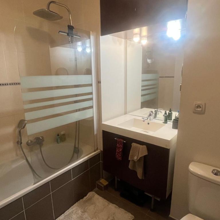 Charmant 2 pièces avec terrasse - Apartamento de 1 dormitorio - 7