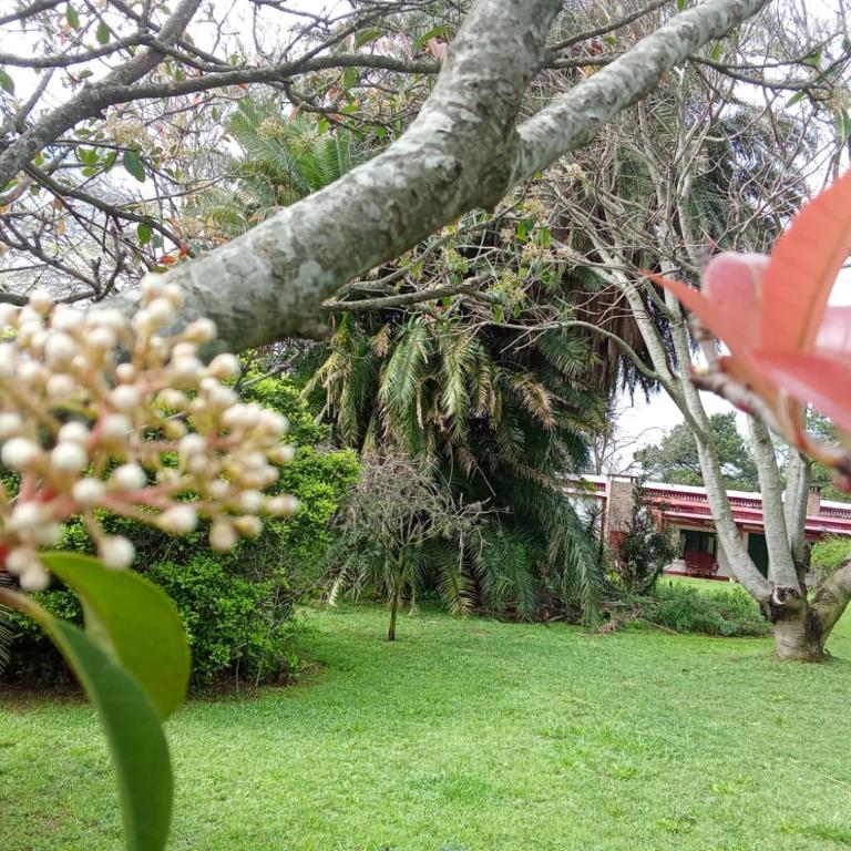 Fortin Tostado - Four-Bedroom House - 10