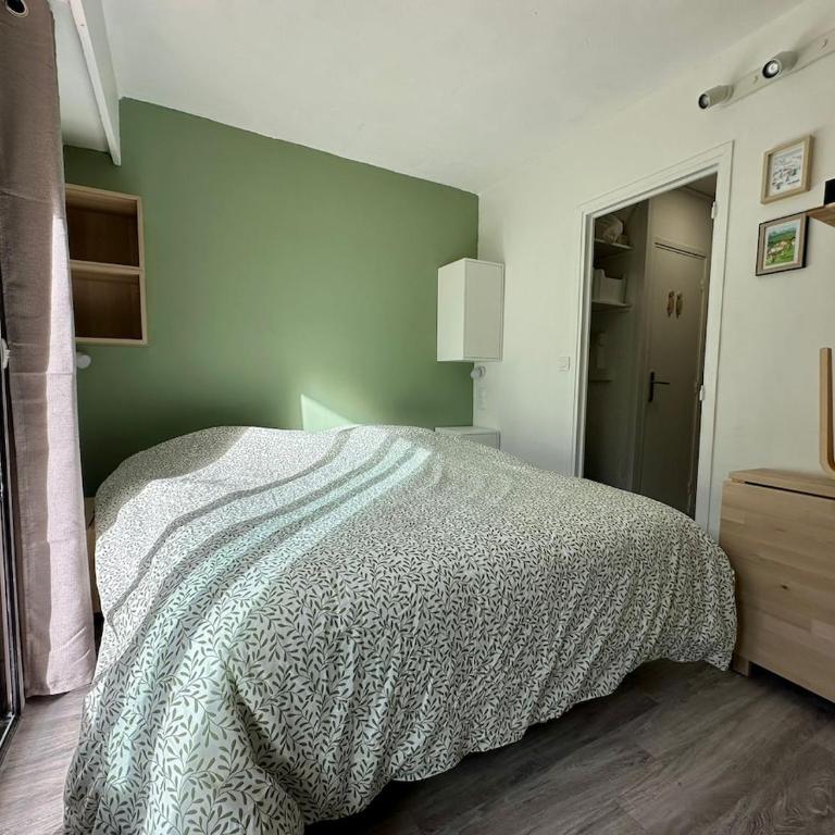 Le Green Studio Valberg 3 personnes - Studio - Vue sur Montagne - 4